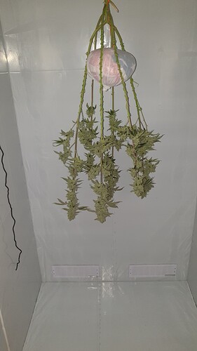 Growreport Bild 1