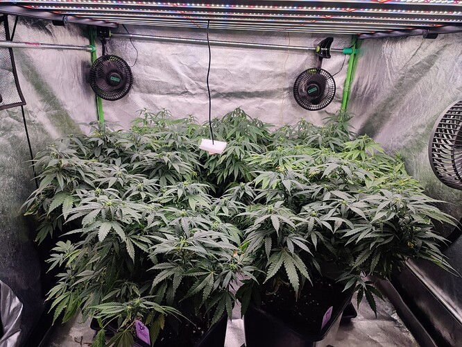 Growreport Bild 12