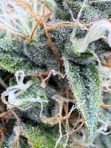 Growreport Bild 18