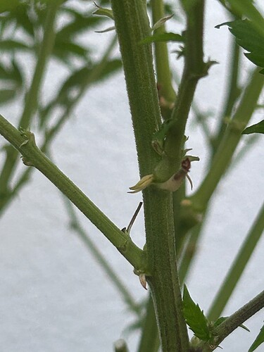 Growreport Bild 6