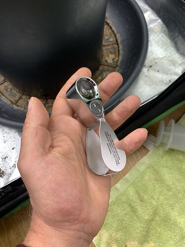 Growreport Bild 8