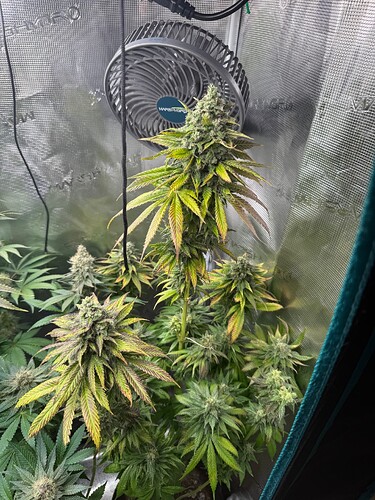 Growreport Bild 10