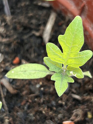 Growreport Bild 16