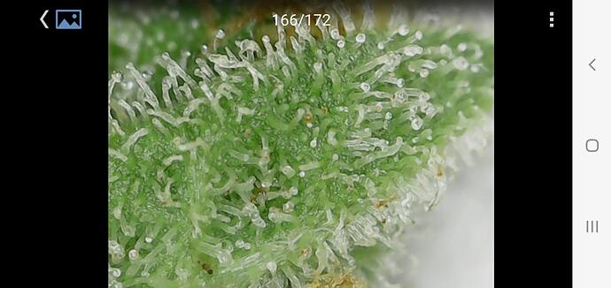 Growreport Bild 15