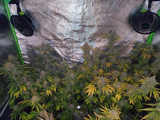 Growreport Bild 20