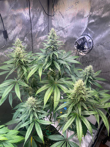 Growreport Bild 18