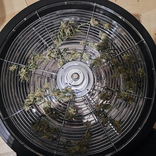 Growreport Bild 1