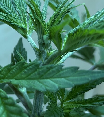 Growreport Bild 2