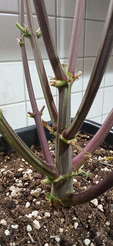 Growreport Bild 11