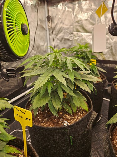 Growreport Bild 5