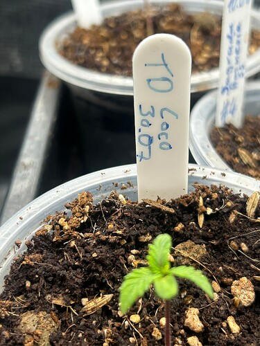 Growreport Bild 15