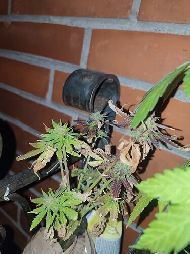 Growreport Bild 23