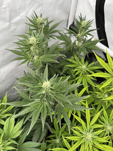 Growreport Bild 10