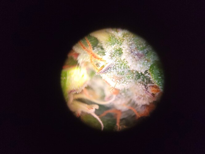 Growreport Bild 8