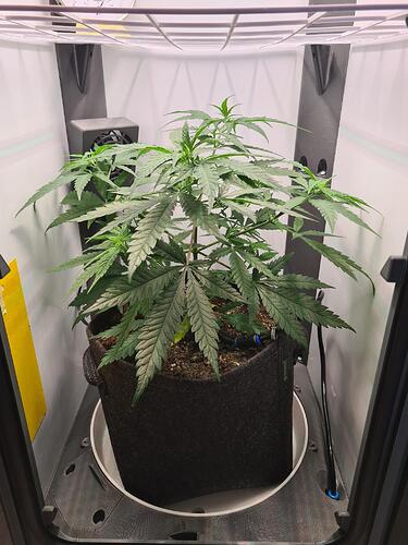 signal-2024-07-23-100856_002