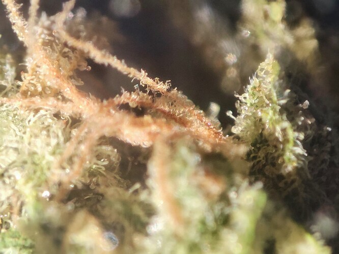 Growreport Bild 15