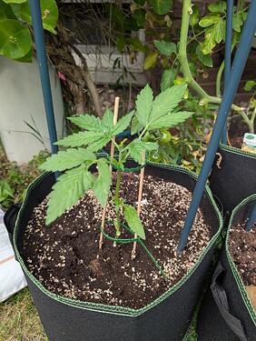 PXL_20250622_150439995