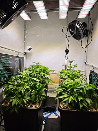 Growreport Bild 6