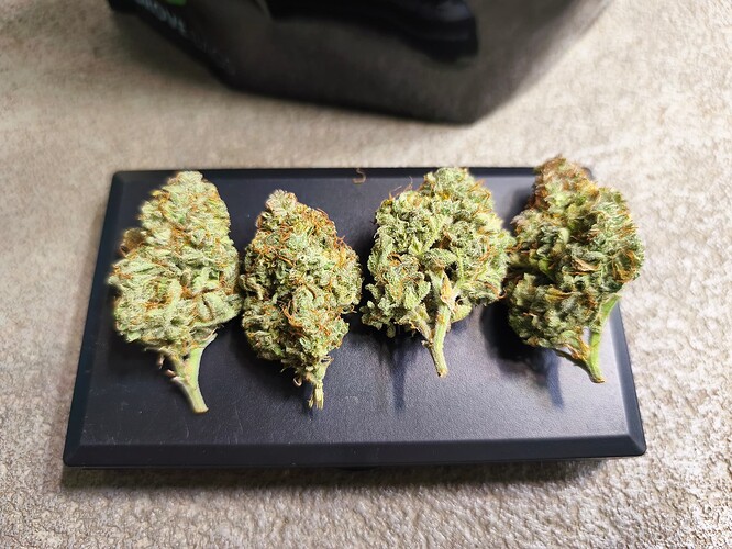 Growreport Bild 2