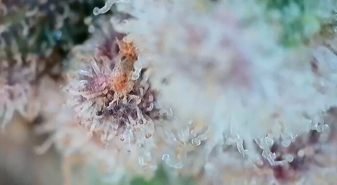 Growreport Bild 20