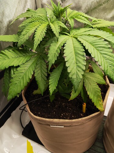 Growreport Bild 11