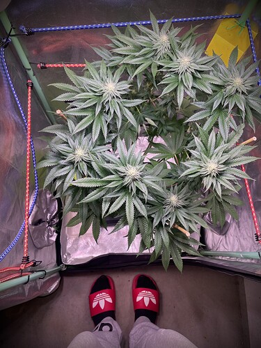 Growreport Bild 12