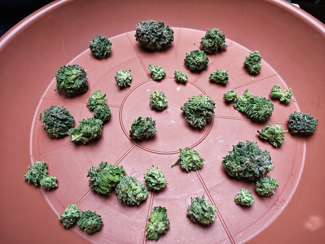 Growreport Bild 22