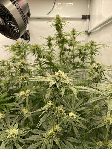 Growreport Bild 11