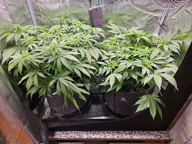 Growreport Bild 15