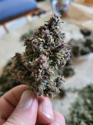 Growreport Bild 12