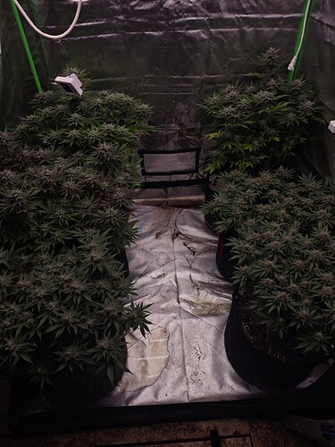 Growreport Bild 5