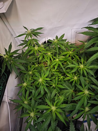 MVIMG_20251022_164810