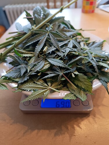 Growreport Bild 20