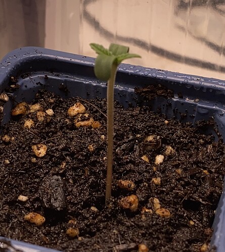 Growreport Bild 12