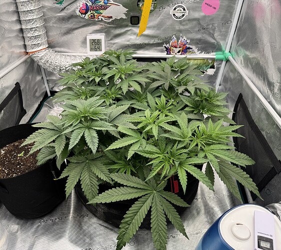 Growreport Bild 8