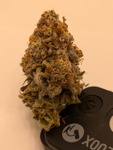 PXL_20240811_093018260