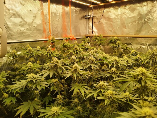 Growreport Bild 9