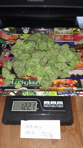 Growreport Bild 18