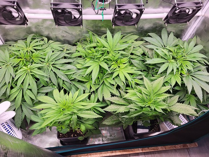 Growreport Bild 8