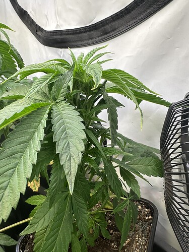 Growreport Bild 4