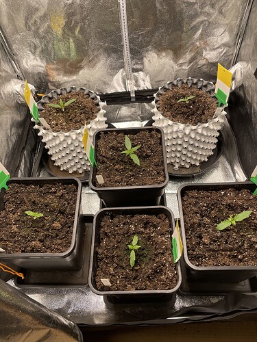 Growreport Bild 8