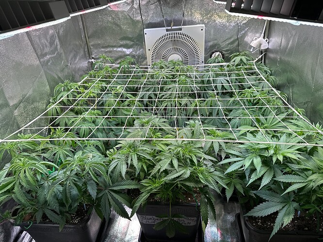Growreport Bild 3