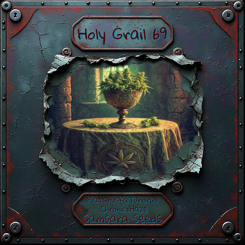 HolyGrail69 Etikett