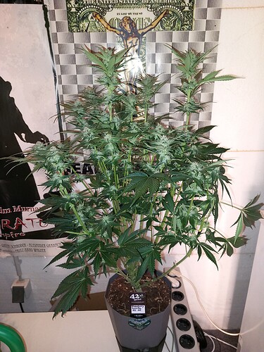 Growreport Bild 8