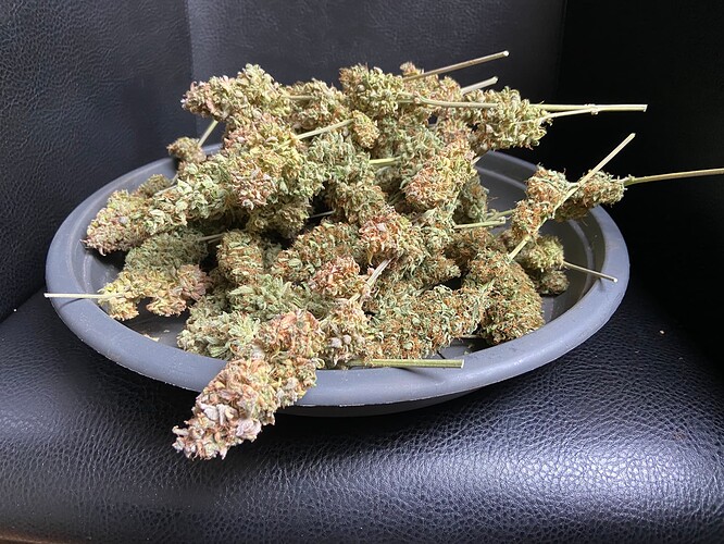 Growreport Bild 8