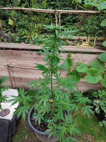 Growreport Bild 12