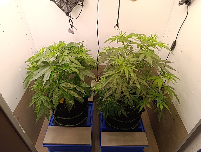 Growreport Bild 19