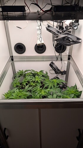 PXL_20250418_083520966.MP