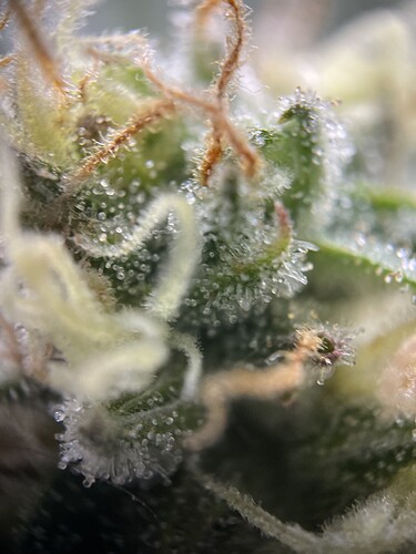 Growreport Bild 8