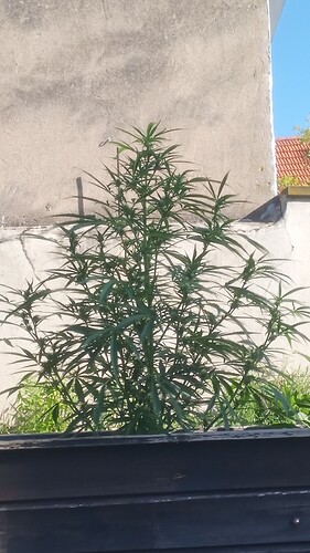 Growreport Bild 18